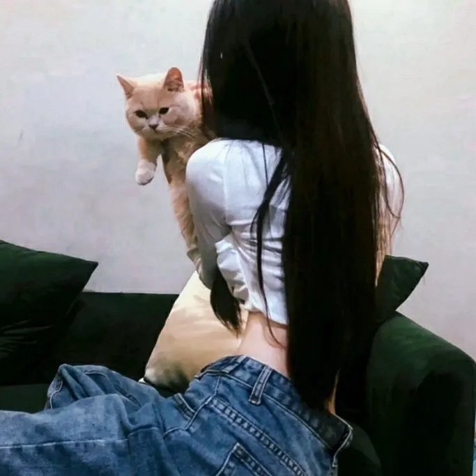 花颜劫